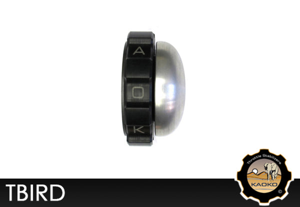 Kaoko Cruise Contrut Stabilising Stabilising Triumph Thunderbird Tbird