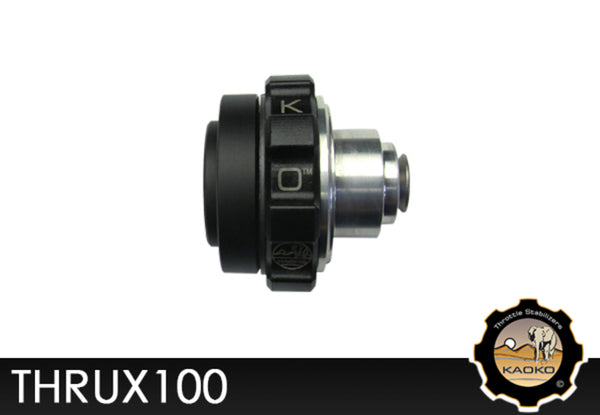 Kaoko Cruise Contrut Stabilising Stabilising Triumph Thrux100Rev3
