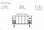 Yuasa W / C Entretien de la batterie Activé d'usine gratuite - YTZ8V