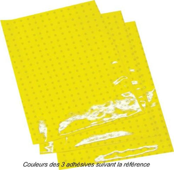 Blackbird cristal theet adhésif respirant rouge 5052/60