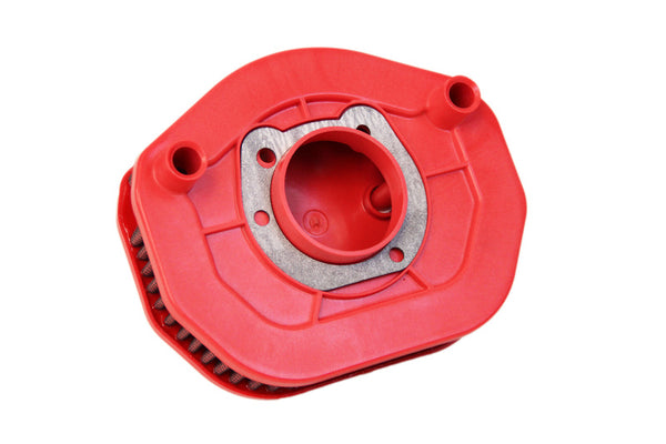 Filtre à air BMC - FM01066 FM01066