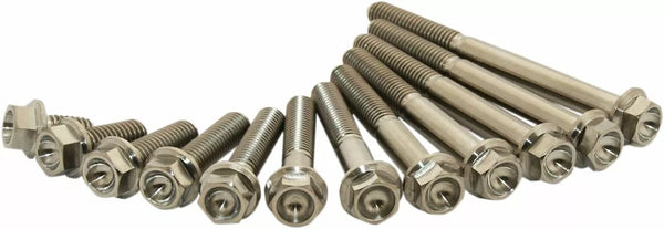 Scar Titanium Bolt M6X20 Pack de 2 stim6x2002