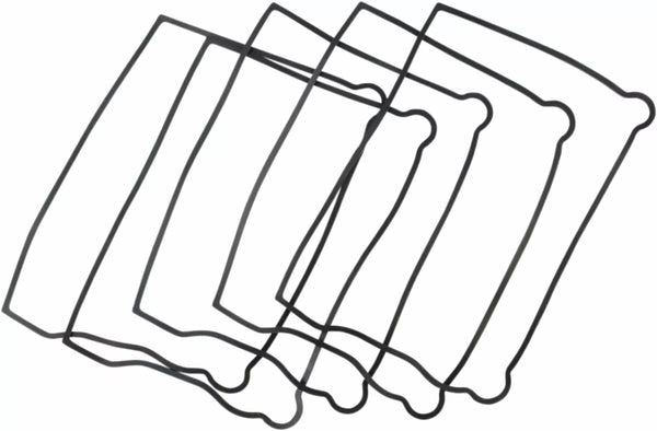 Caoutchouc de joint coétique LO / RBOX 5PK C9281