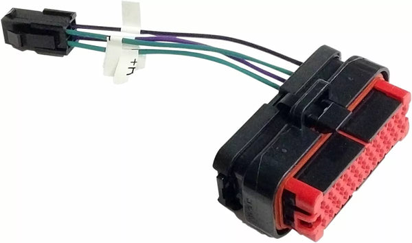 Hogtunes arrière du haut-parleur arrière Plug pour 0 RR Plug-AA