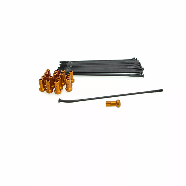 Kite kit kit rr 16 bk / ou 20.927.1.ar