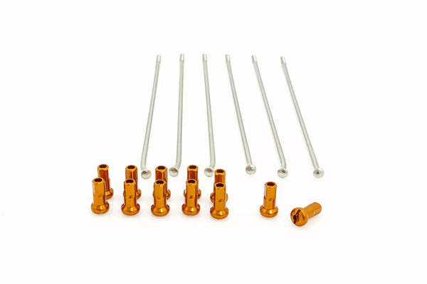 Kite rayons 19 RR SI / ou NIP 12pc 20.907.0.ar