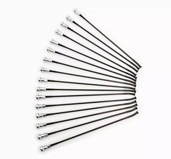 Kite Stames 19 FR BK / SI 16pc 20.926.1.si