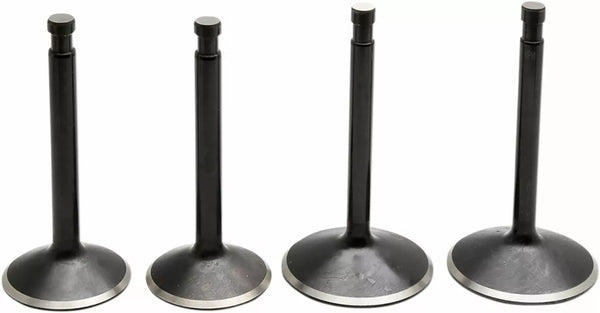 KibbleWhite Valve Kit 70-83 Sportster 20-22300