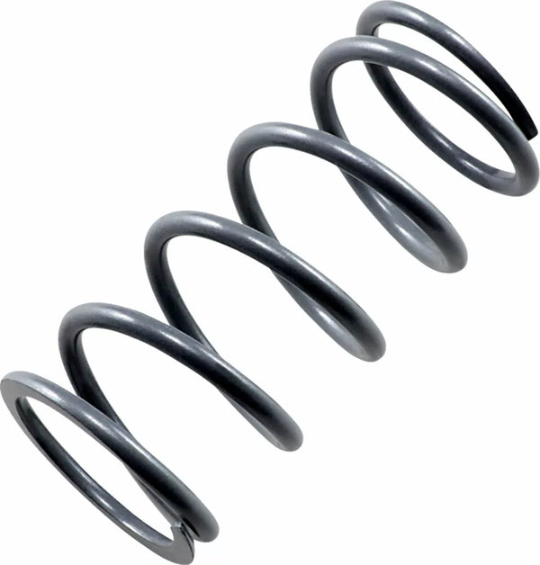 EPI primaire printemps argent PS-6