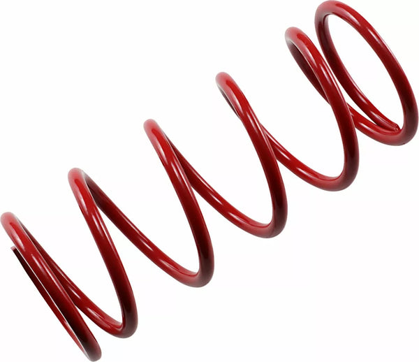 Épi rer secondaire printemps rouge srer2