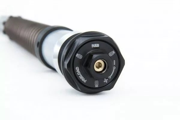 Ohlins Cartridge BMW R Ninet Pure / RAC FKS 220