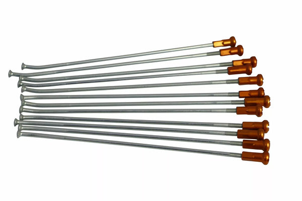 Kite rayons 18 RR SI / ou NIP 20.909.0.AR