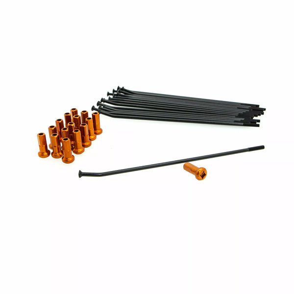 Kite kit kit fr 14 bk / ou 20.922.1.ar
